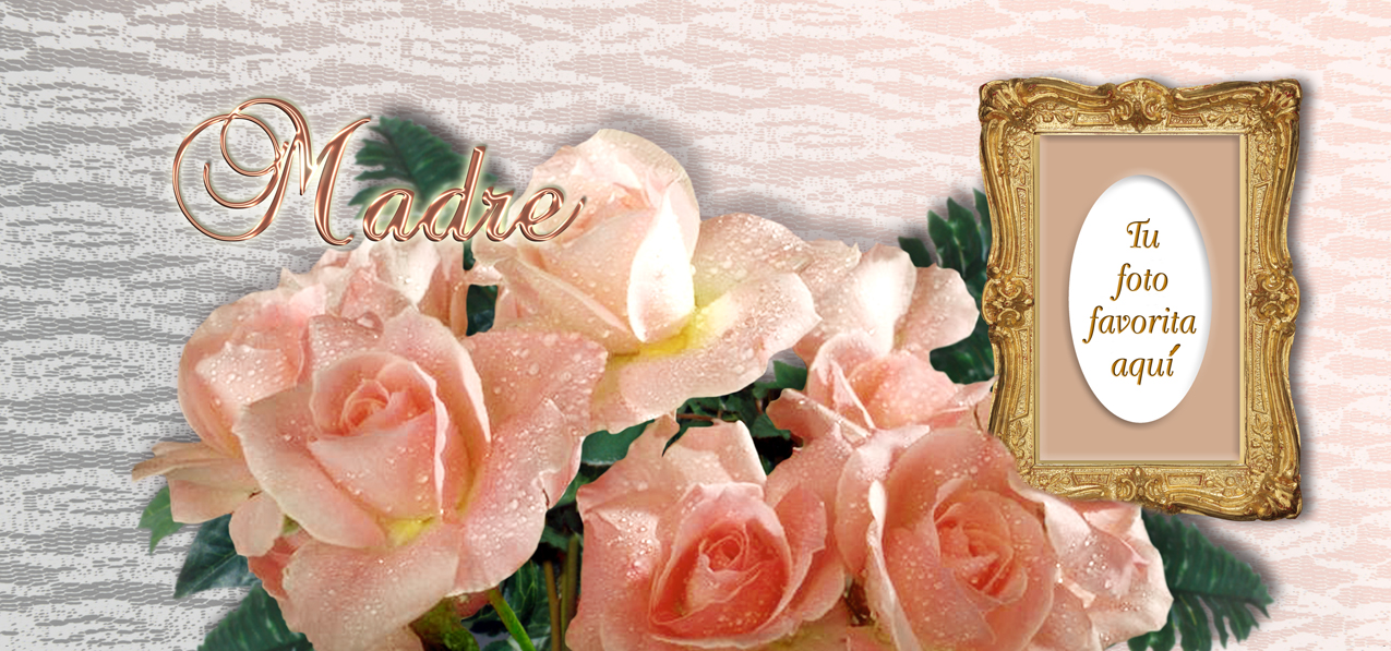 Bouquet Of Roses Peach Peach Madre (Spanish)